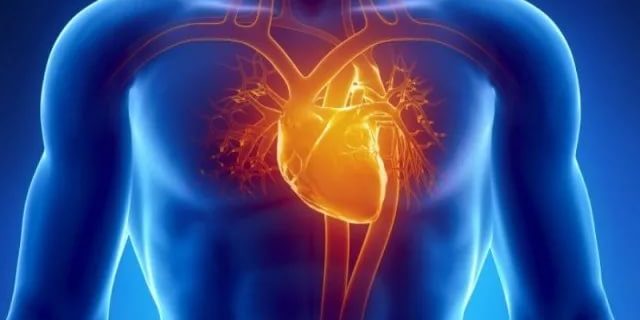 Питание при заболеваниях сердца