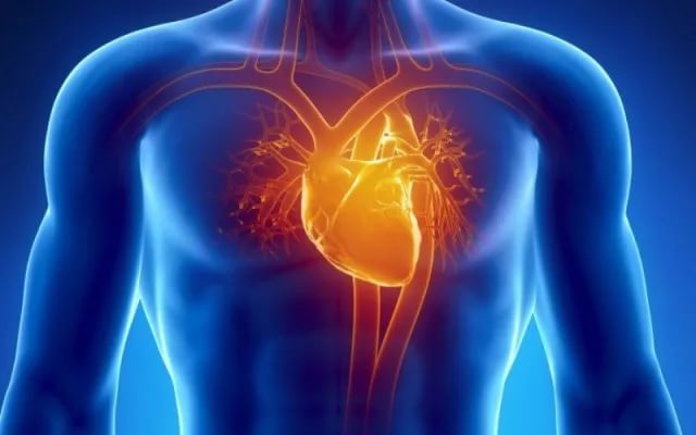 Причины учащенного сердцебиения